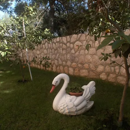By The Sea Artatore, Losinj - 2474 * Čunski